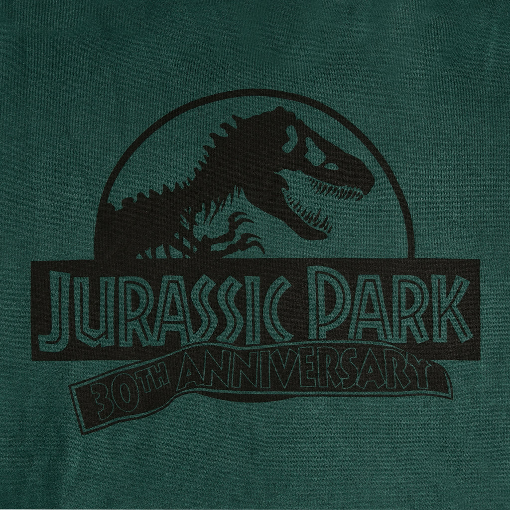 Product image Jurassic Park - Isla Nublar Hoodie Green