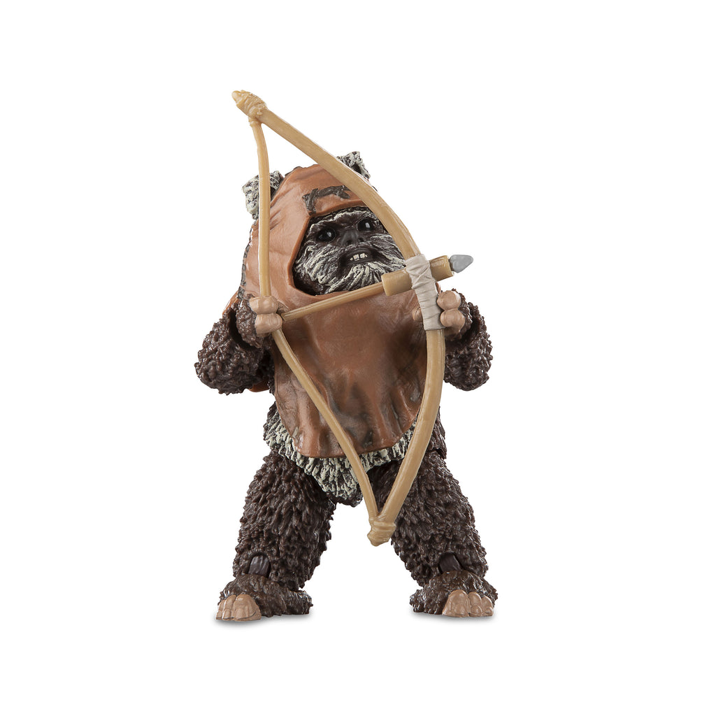 Product image Star Wars - Wicket Black Series Action Figure