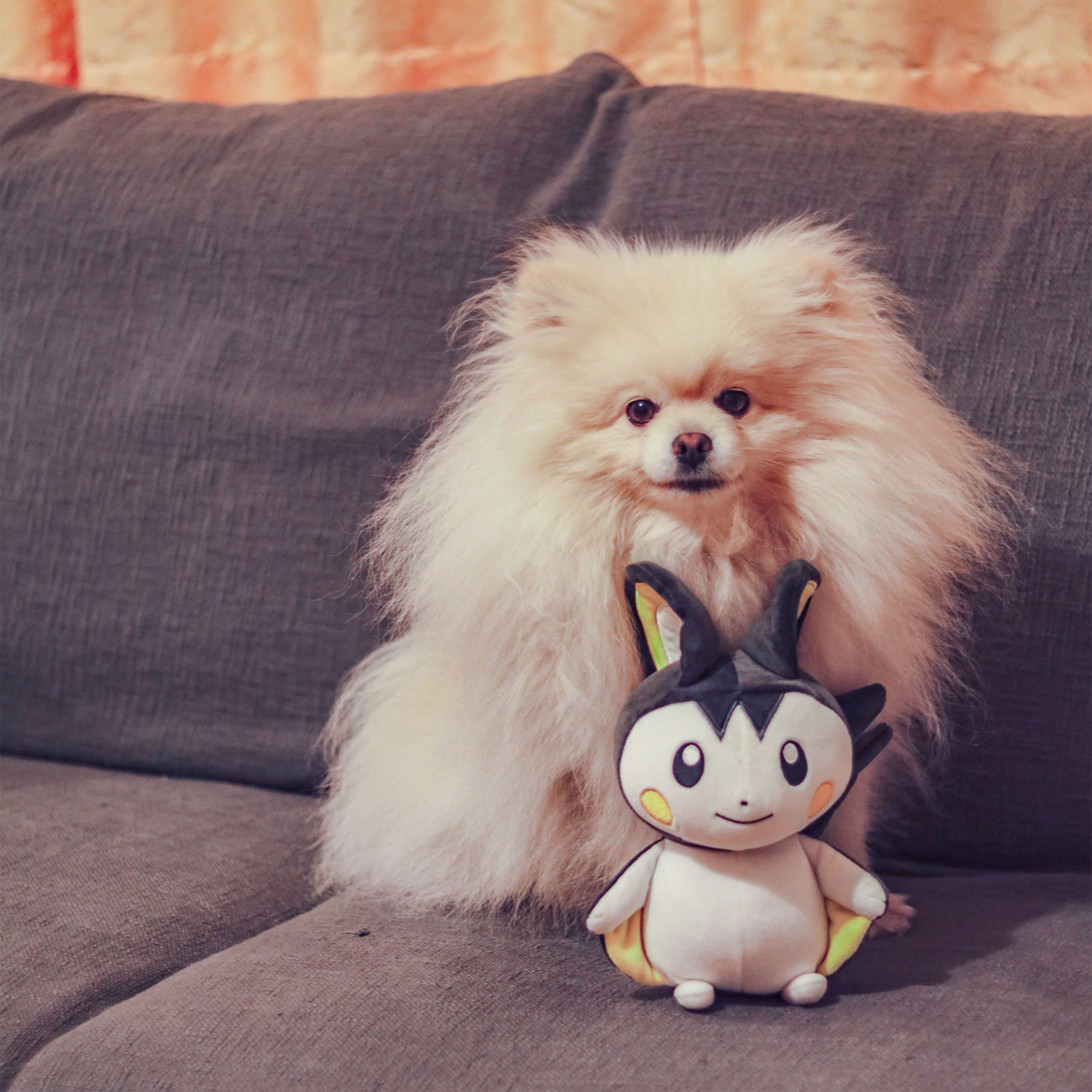 Product image Pokemon - Emolga Plush Figure