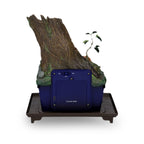 Product image Princess Mononoke - Mysterious Forest Water Garden Bonsai Statue