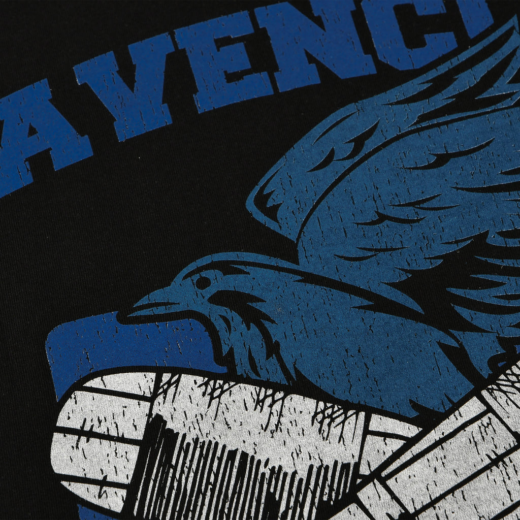Product image Ravenclaw Quidditch College T-Shirt Black - Harry Potter