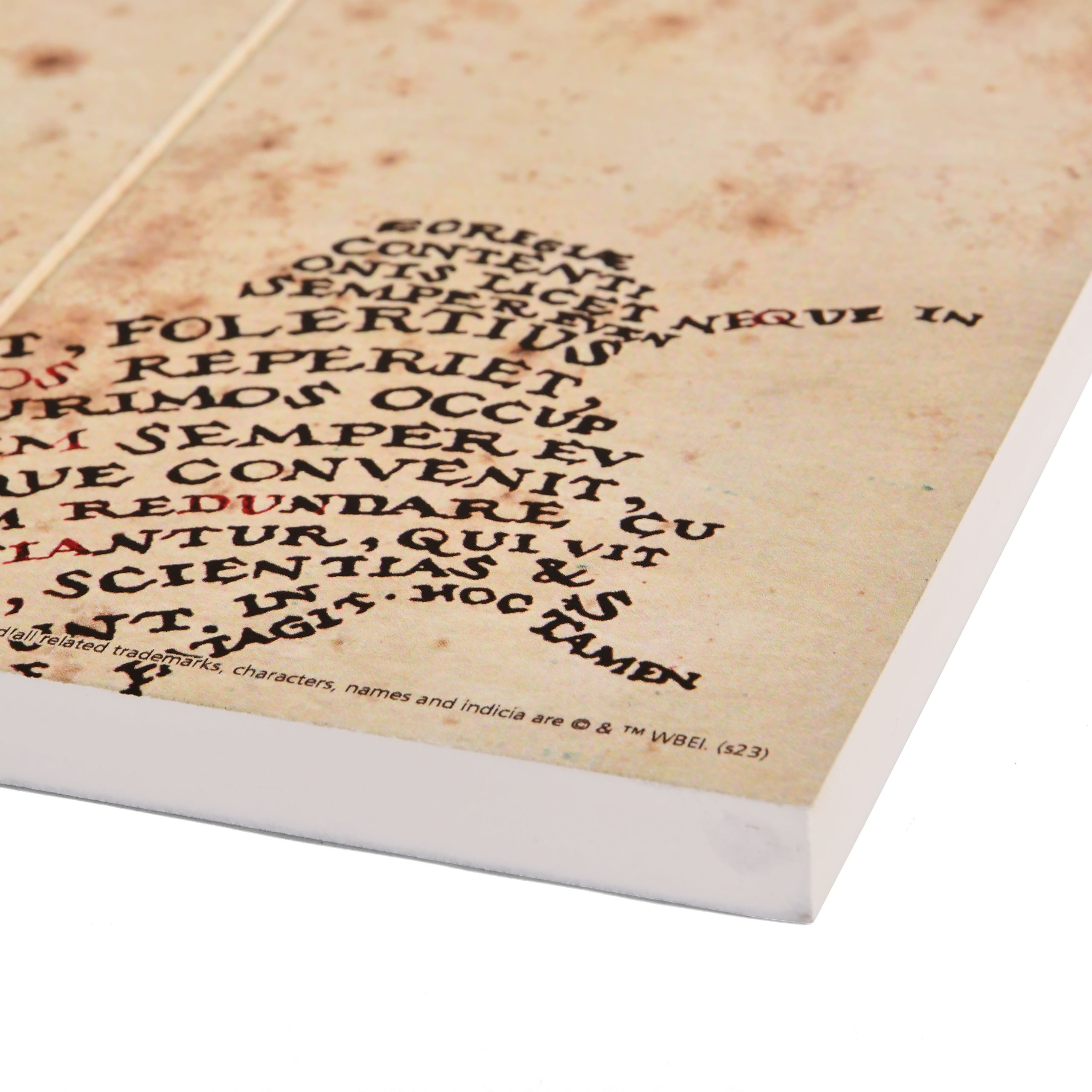 Product image Harry Potter - Marauder's Map Wall Art Wood