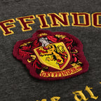 Product image Harry Potter - Gryffindor Crest Premium Hoodie Grey