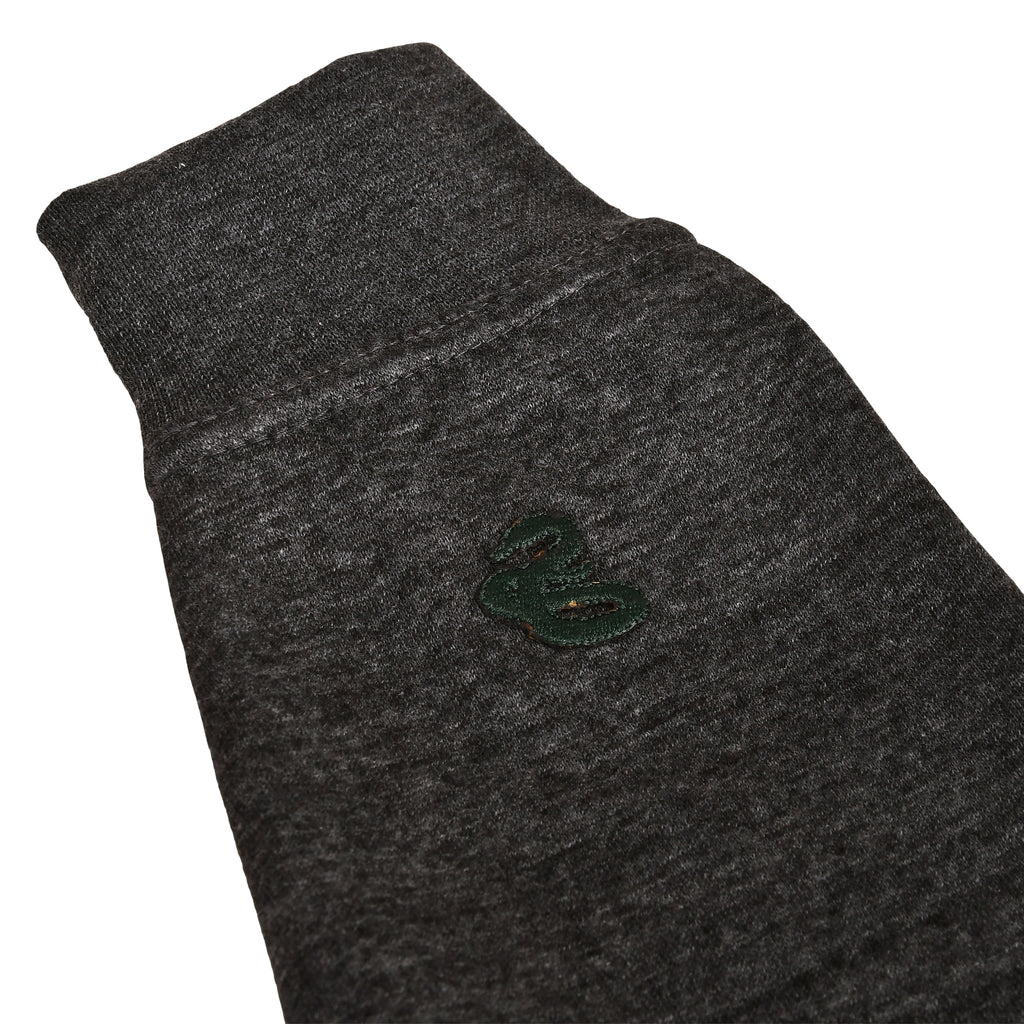 Product image Harry Potter - Slytherin Crest Premium Hoodie grey