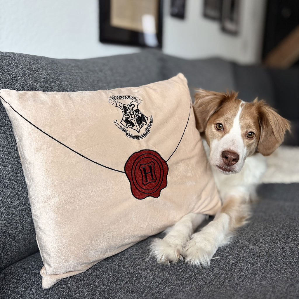 Product image Harry Potter - Hogwarts Letter Pillow