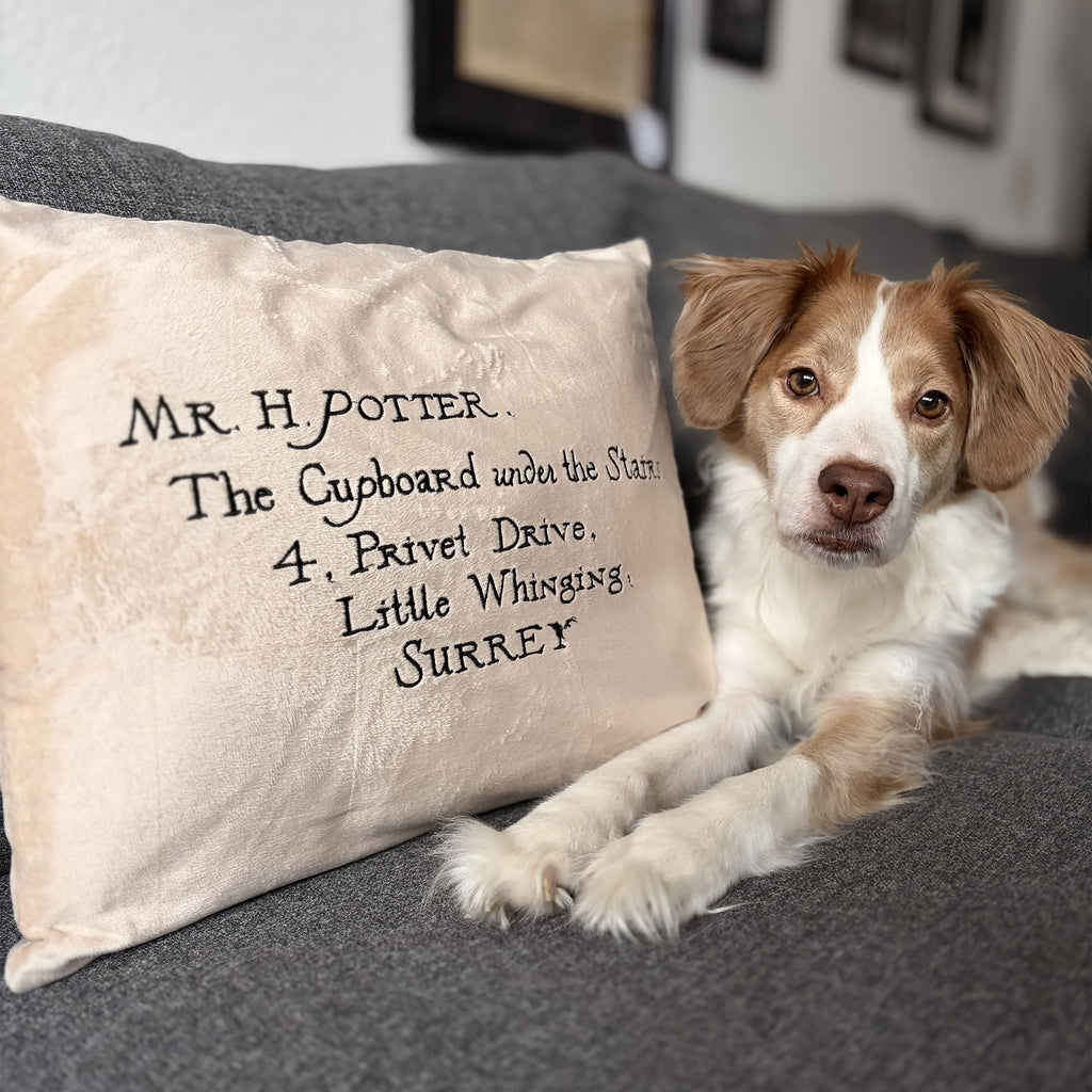 Product image Harry Potter - Hogwarts Letter Pillow