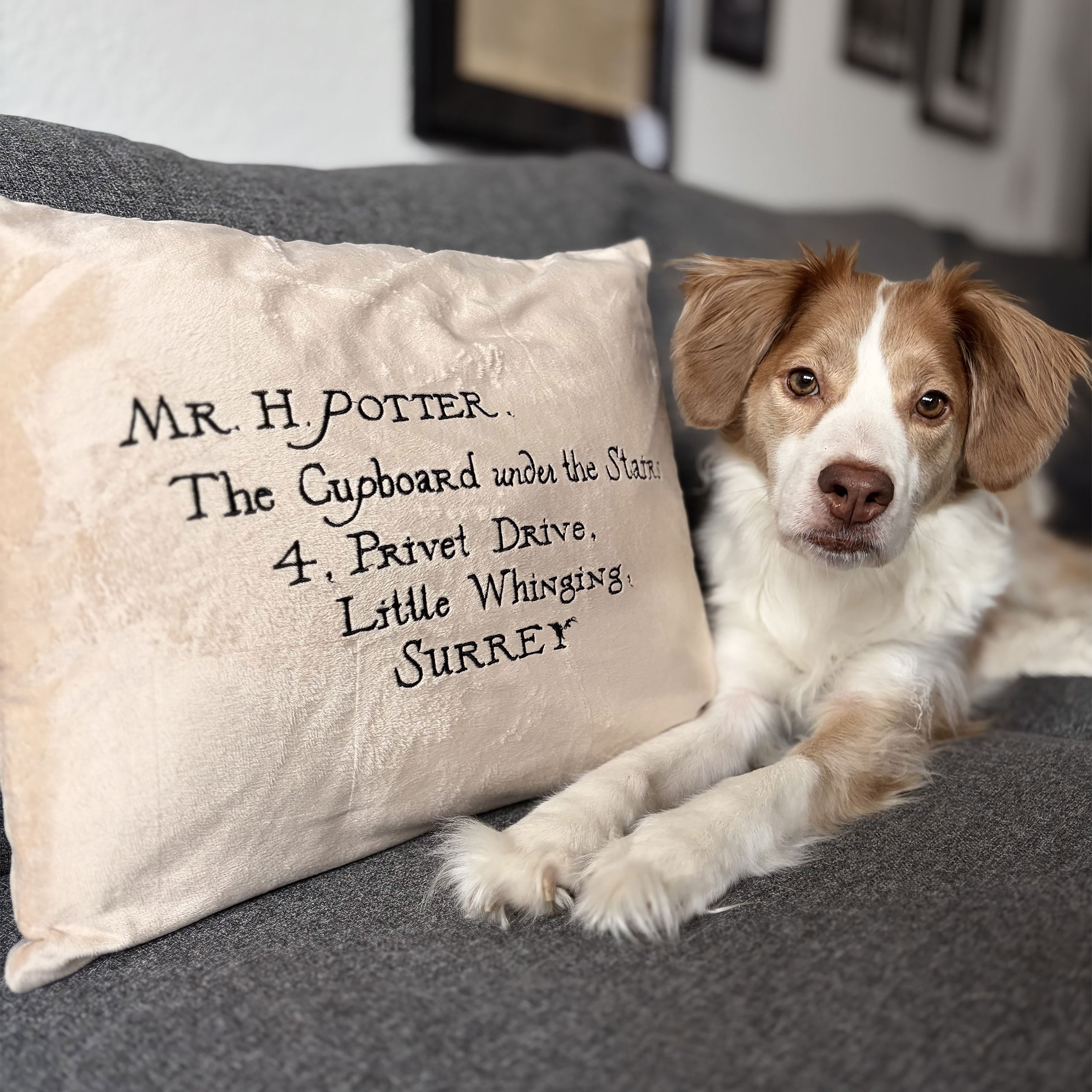 Product image Harry Potter - Hogwarts Letter Pillow