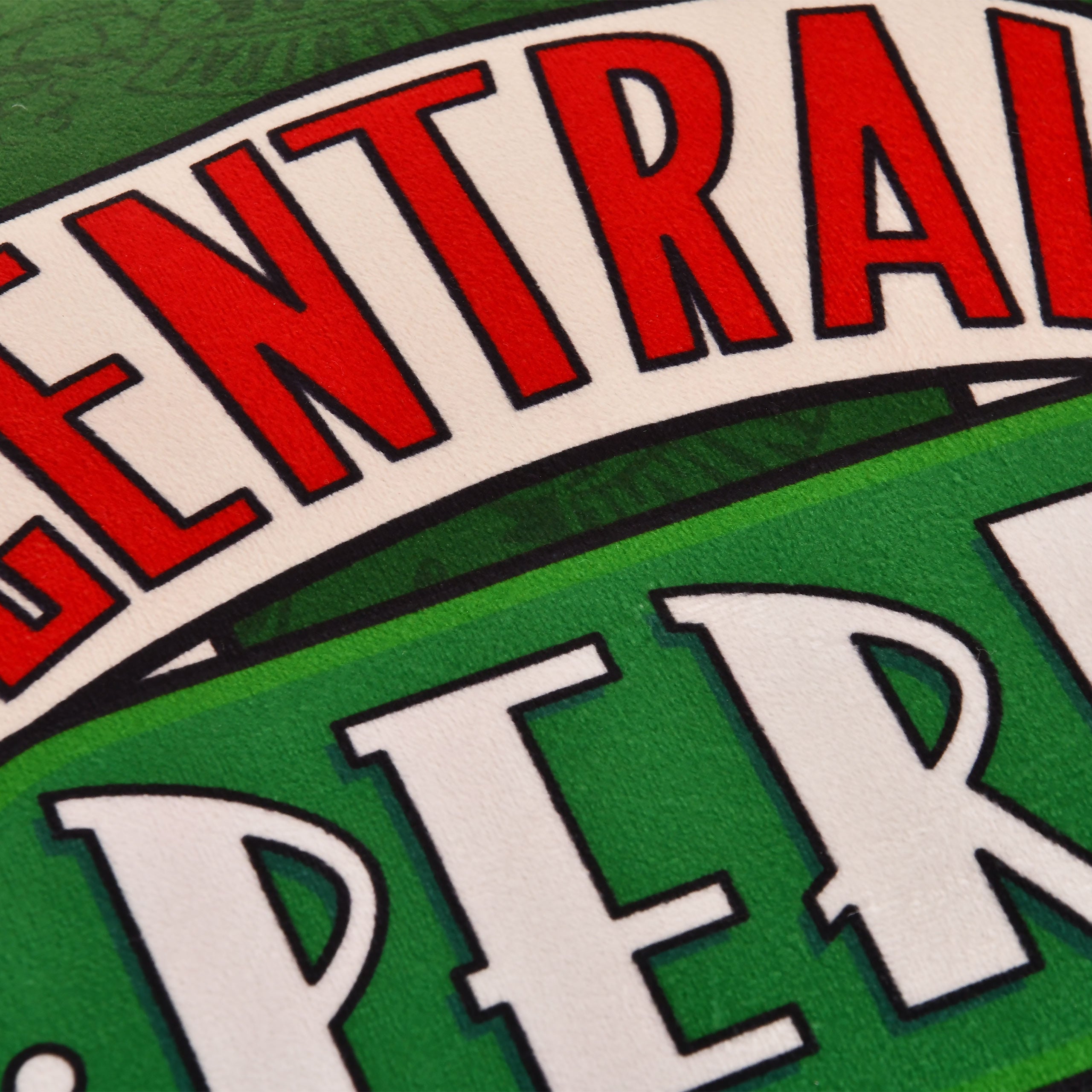 Product image Friends - Central Perk Pillow Green