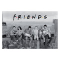 Product image Friends - Empire Building Maxi Poster