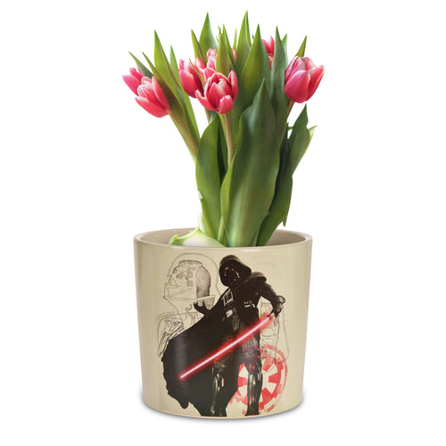 Product image Star Wars - Darth Vader Flower Pot