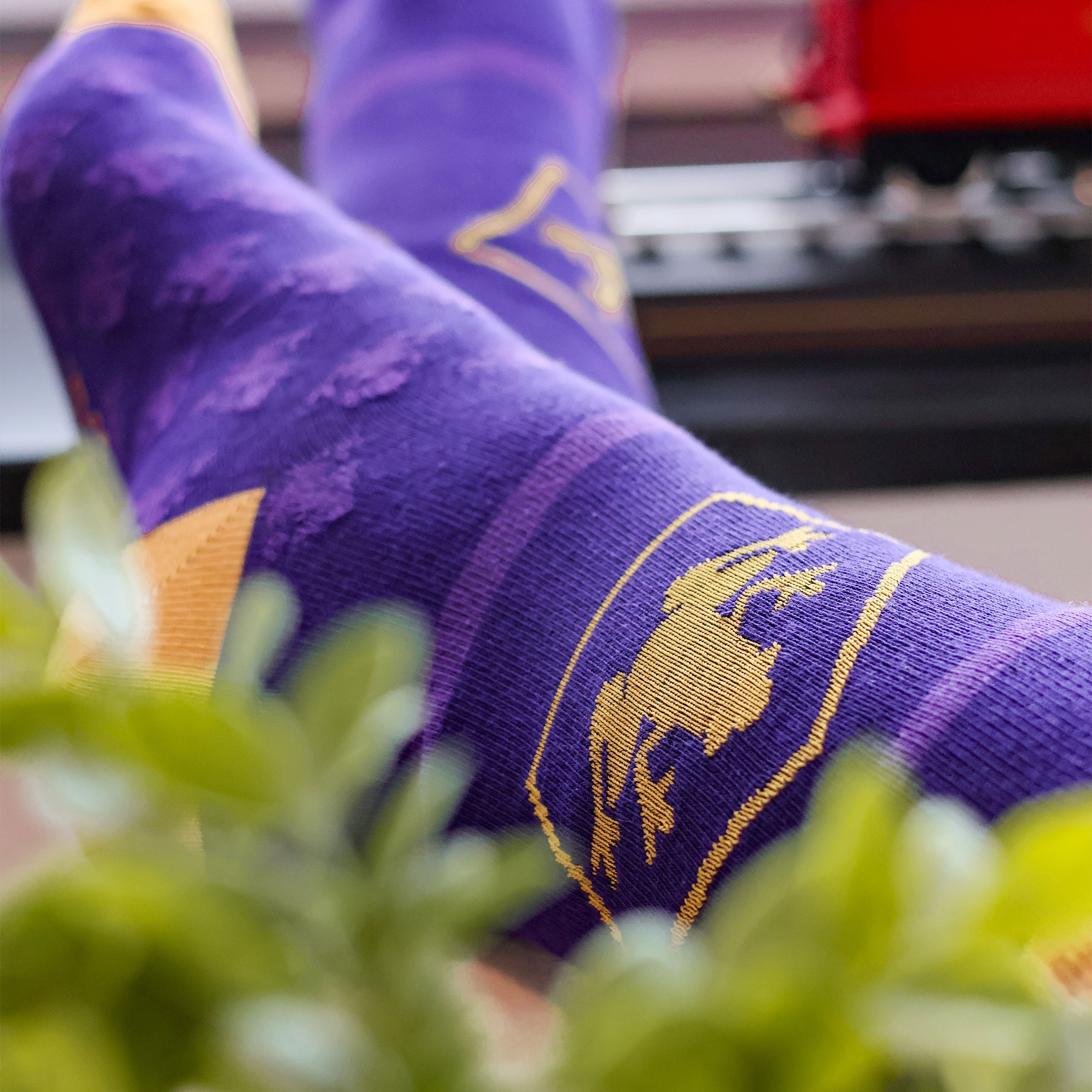 Product image Harry Potter - 3 Pair Socks Set in Chocolate Frog Box