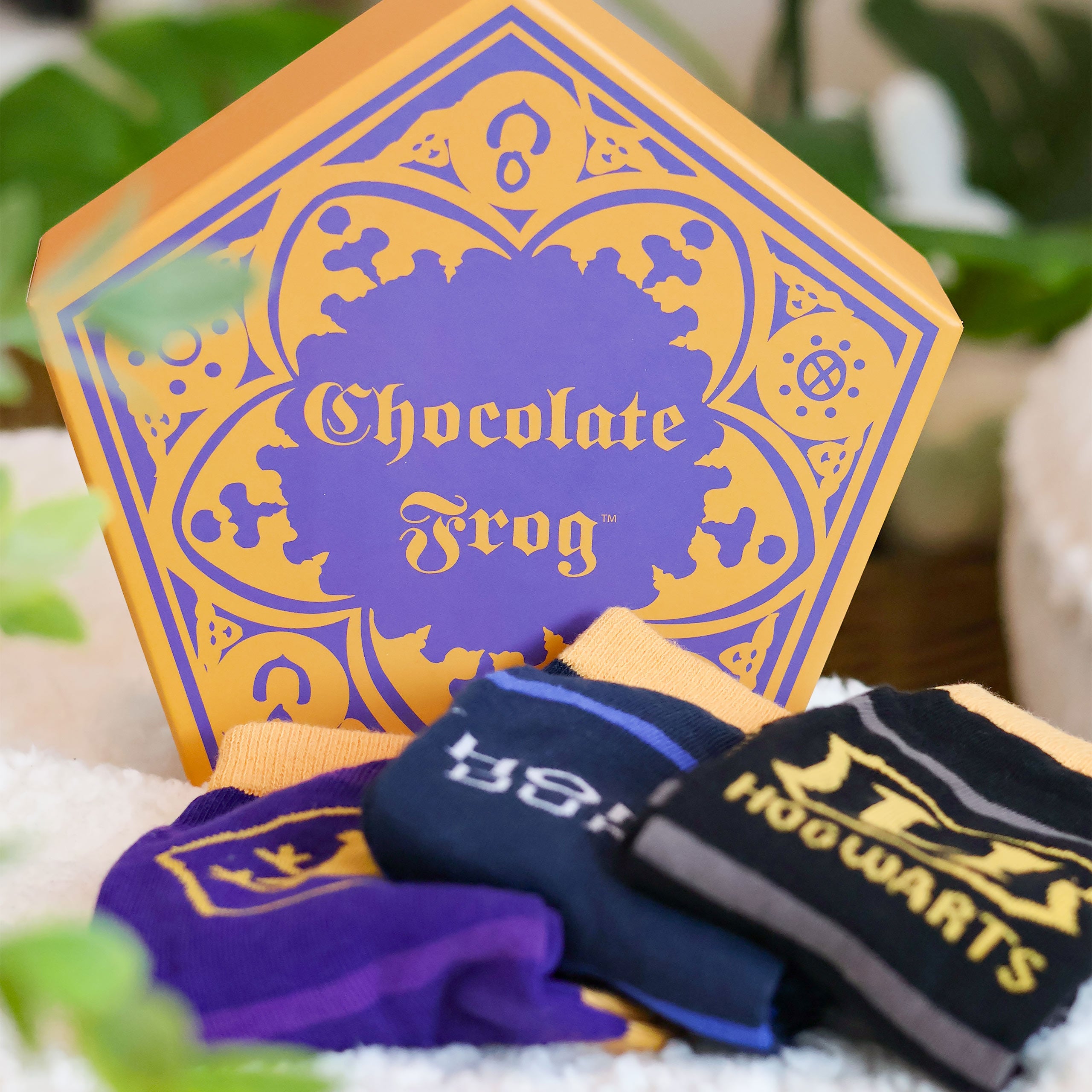 Product image Harry Potter - 3 Pair Socks Set in Chocolate Frog Box