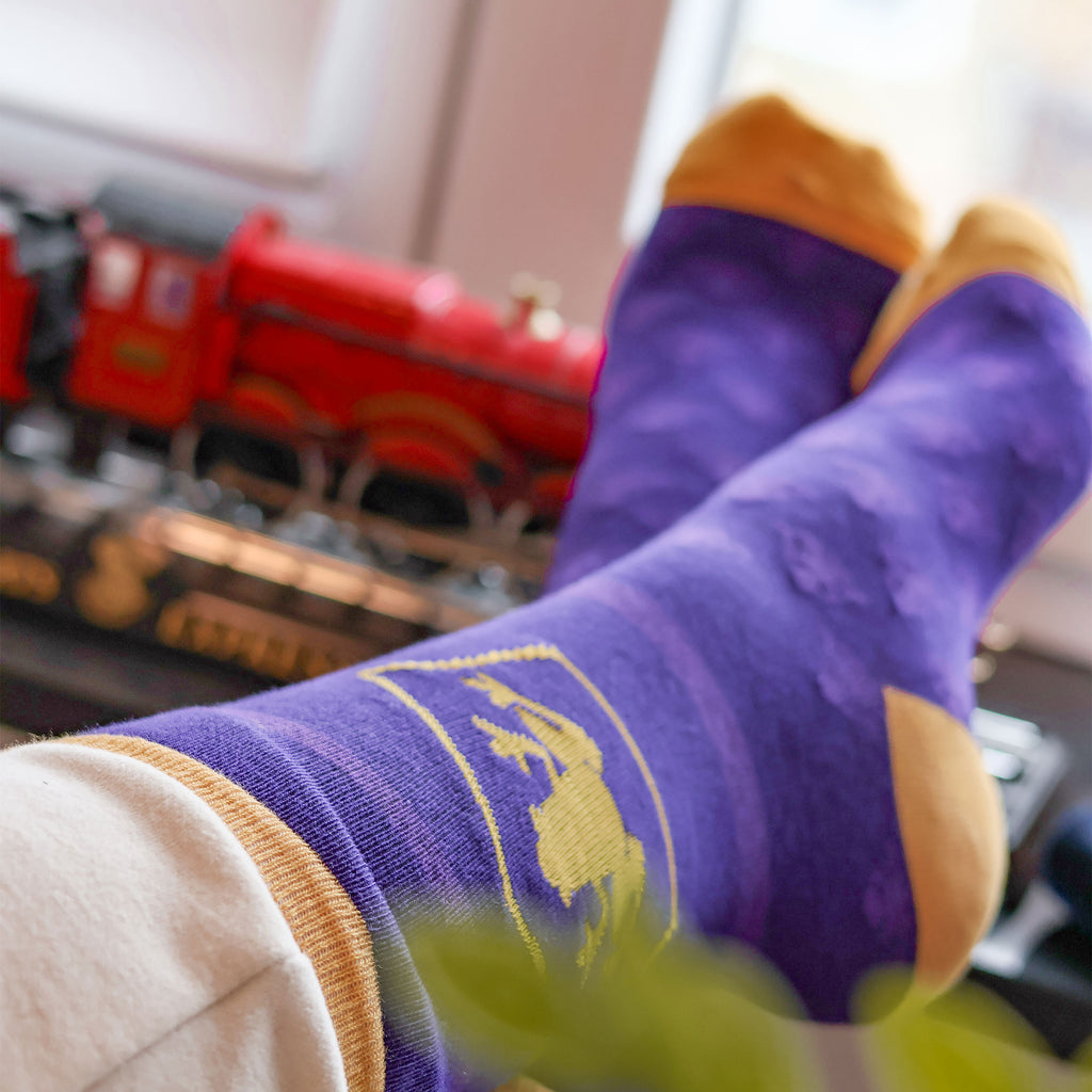 Product image Harry Potter - 3 Pair Socks Set in Chocolate Frog Box