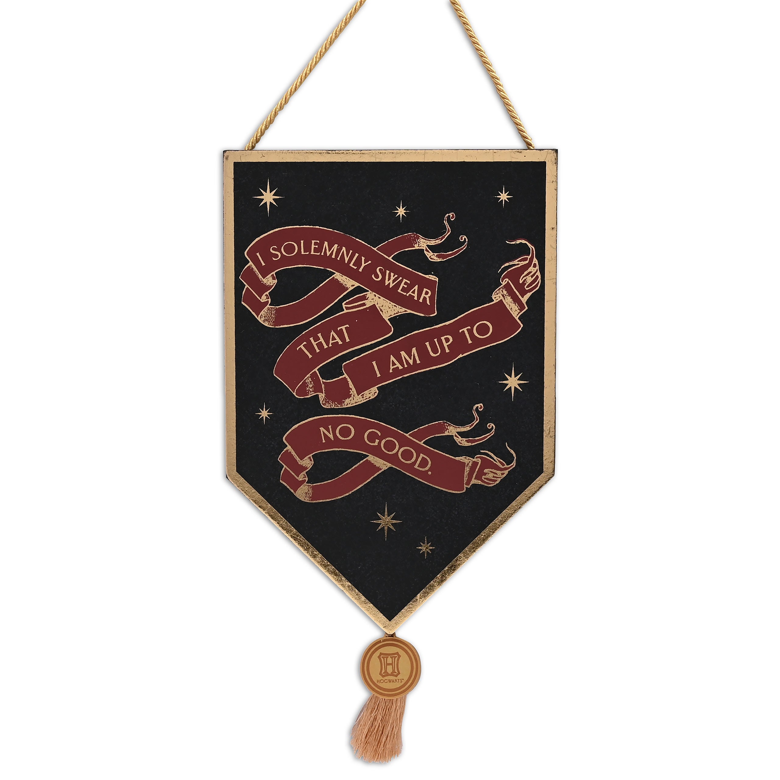 Product image Harry Potter - I Solemnly Swear Alumni Wooden Wall Sign