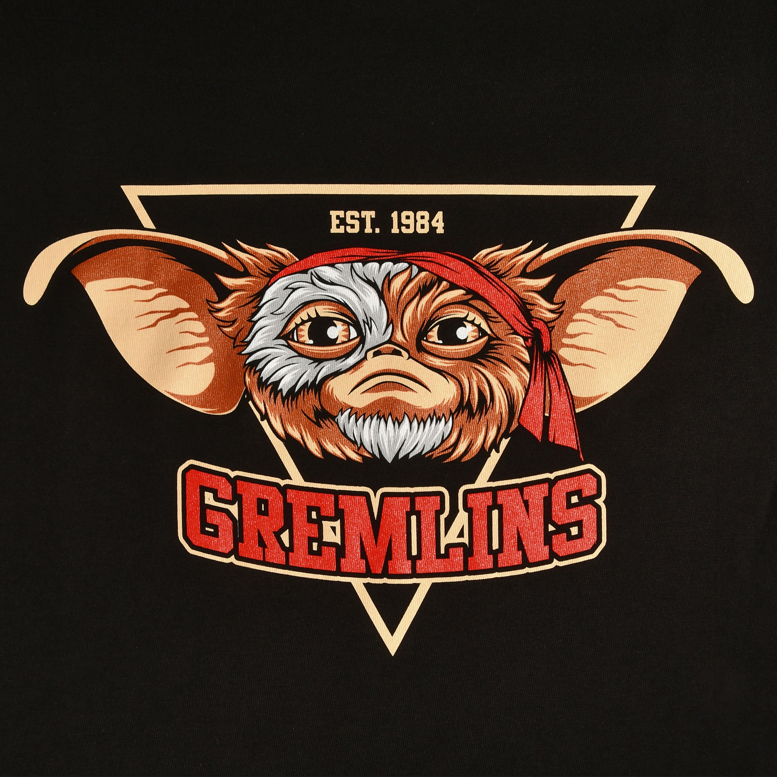 Product image Gremlins Est. 1984 Black T-Shirt
