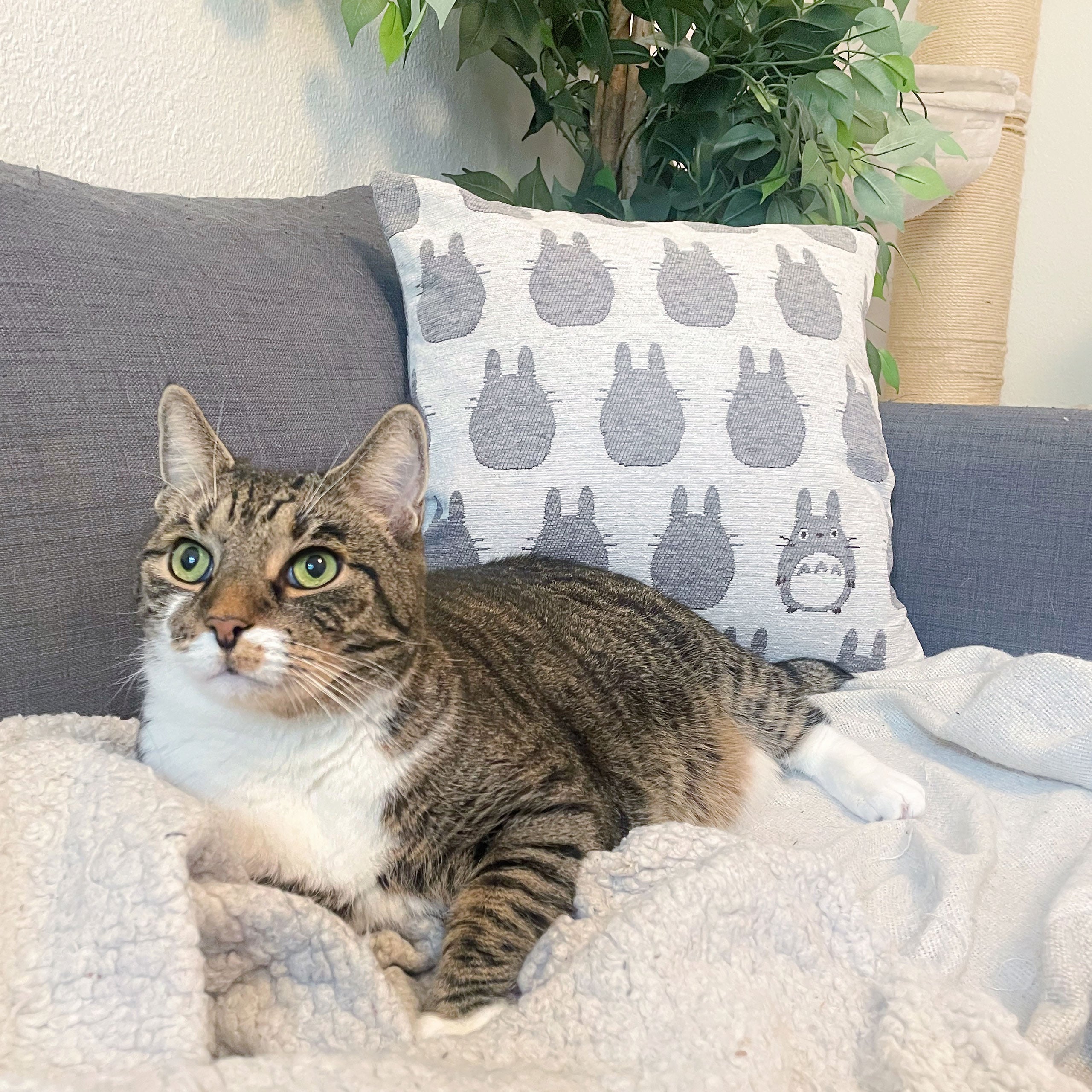 Product image Totoro - Silhouette Totoro Cushion