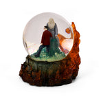 Product image Harry Potter with Dumbledore Snow Globe