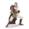 Product image Star Wars: The Acolyte - Jedi Master Indara Black Series Action Figure