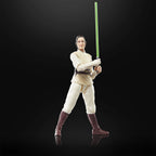 Product image Star Wars: The Acolyte - Jedi Master Indara Black Series Action Figure