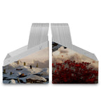 Product image Collectible Card Box Ultimate Guard - Mario Renaud: In Icy Bloom Artist Edition