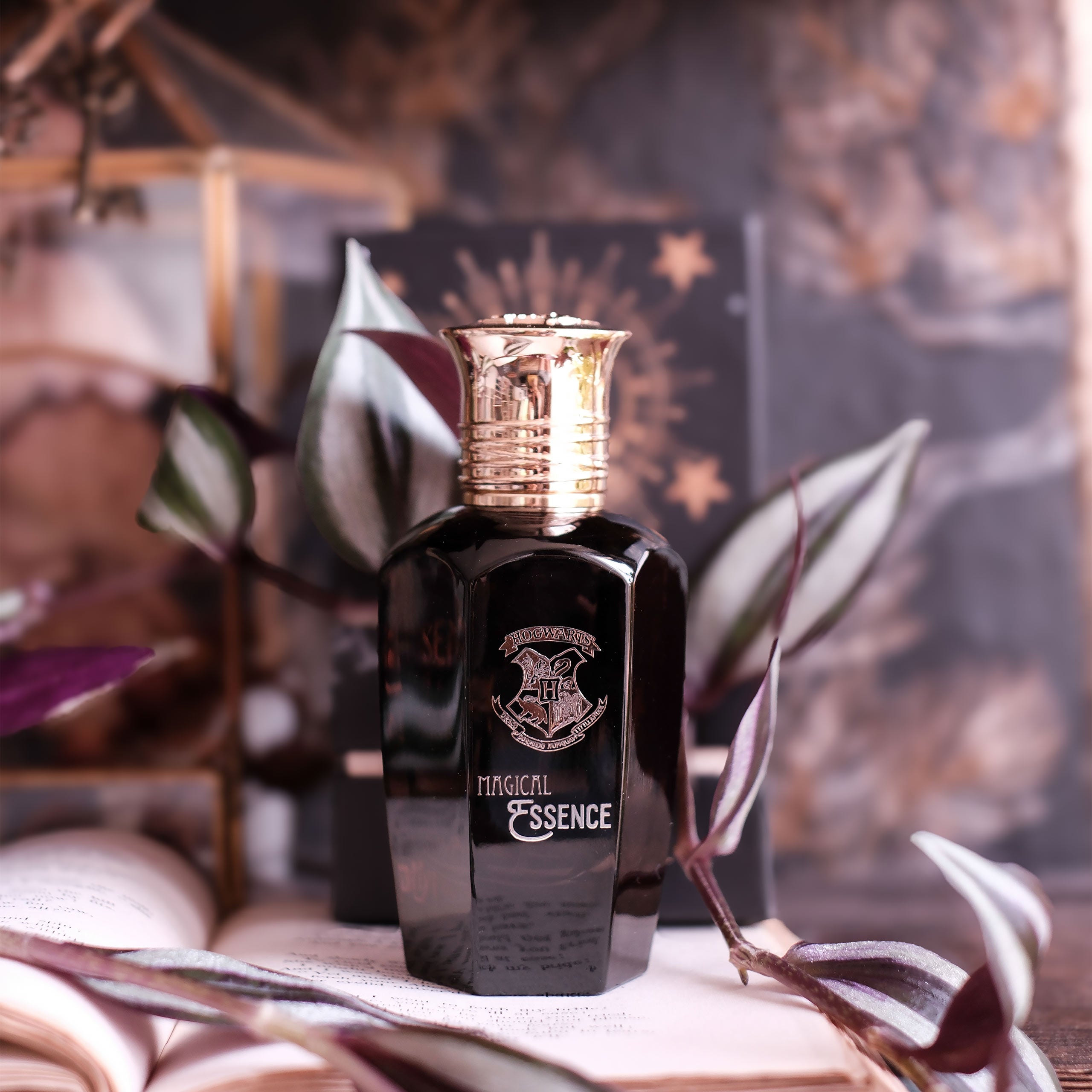 Product image Harry Potter - Magical Essence Ambiton Eau de Parfum