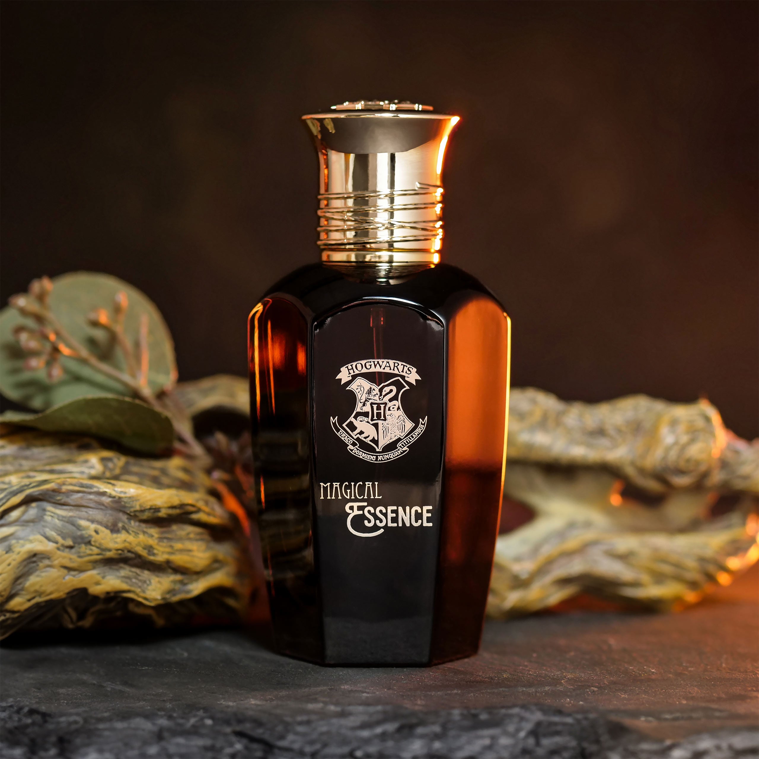 Product image Harry Potter - Magical Essence Ambiton Eau de Parfum