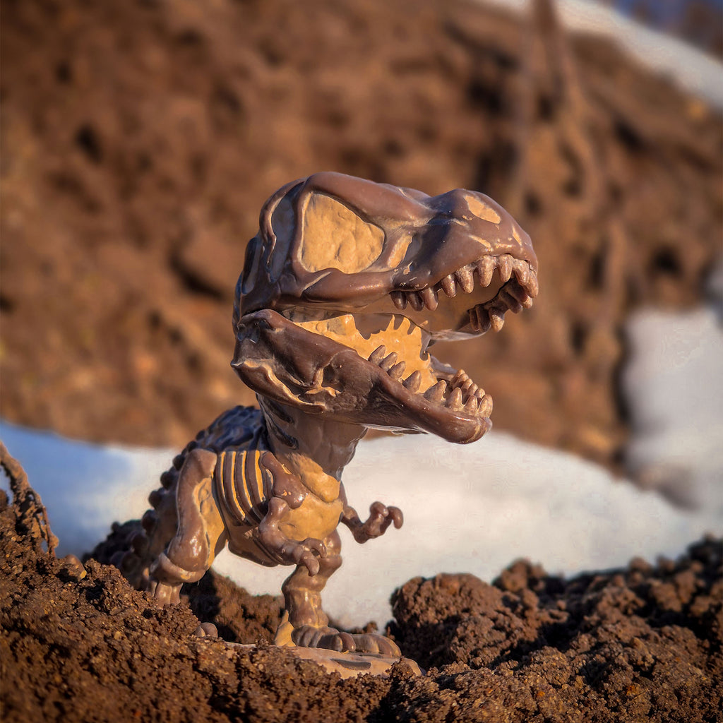 Product image Jurassic World - Fossil Tyrannosaurus Funko Pop Figure