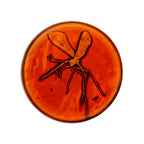Product image Jurassic Park - Medallion and Pin Gift Box Limited Edition
