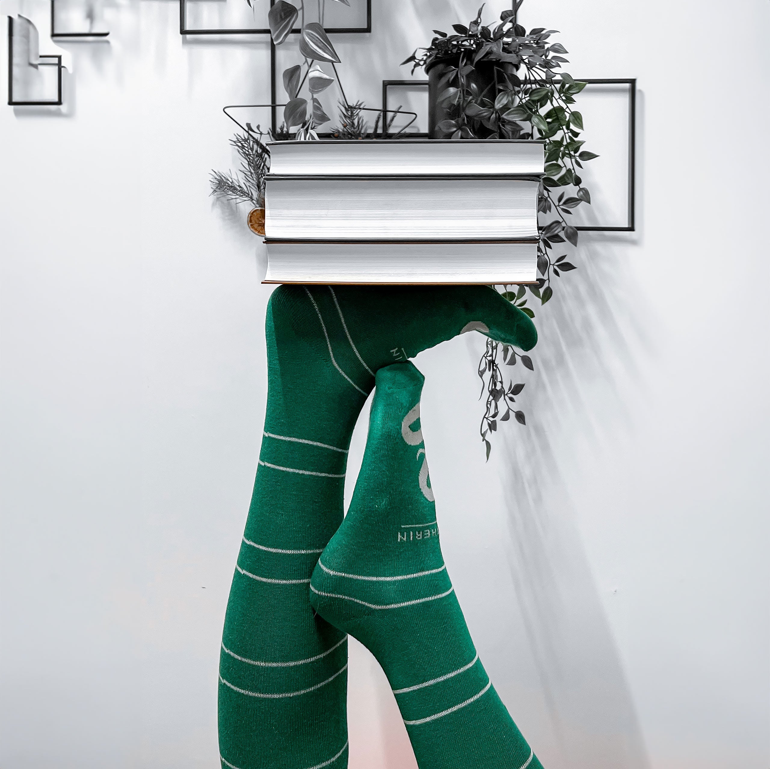 Product image Harry Potter - Slytherin Overknee Socks 2-Pack