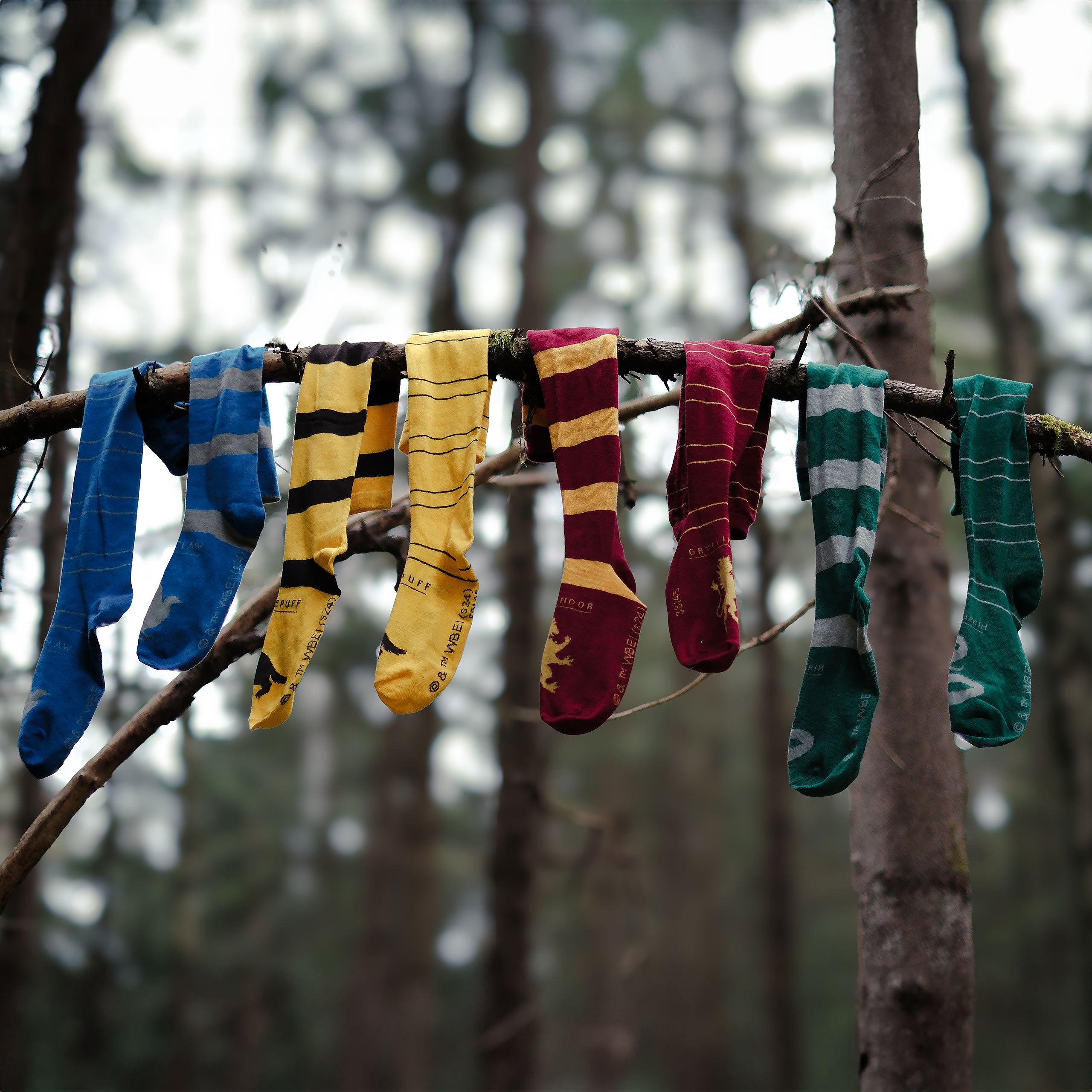 Product image Harry Potter - Slytherin Overknee Socks 2-Pack