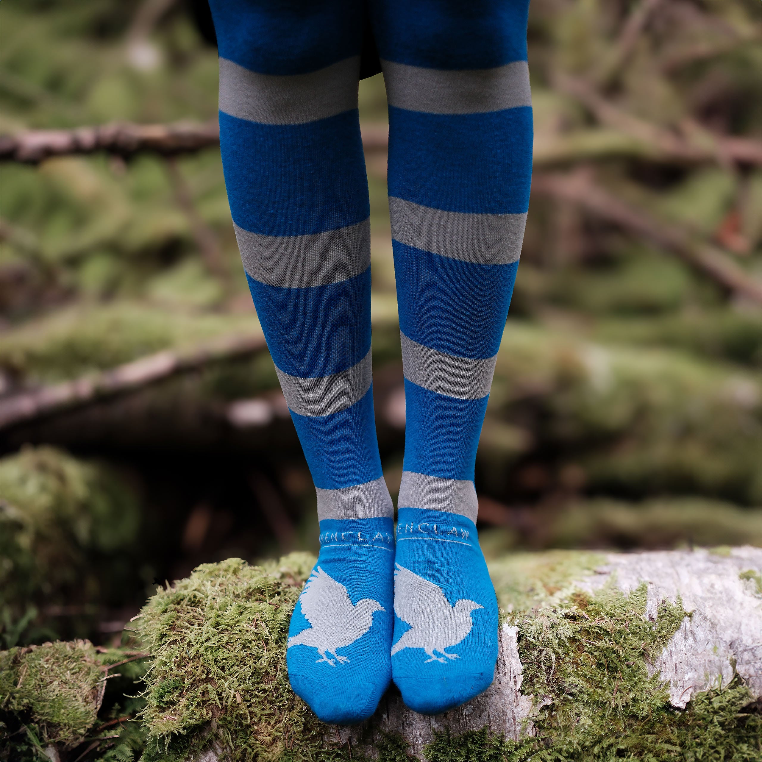 Product image Harry Potter - Ravenclaw Overknee Socks 2-Pack