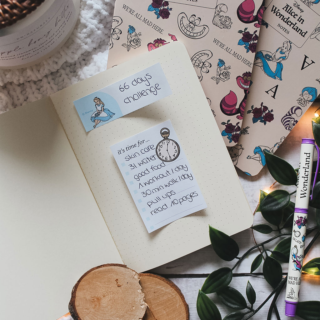 Product image Alice in Wonderland - Set of 3 Notebooks