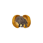 Product image Jurassic Park - Mystery Funko Pocket Pop Figure