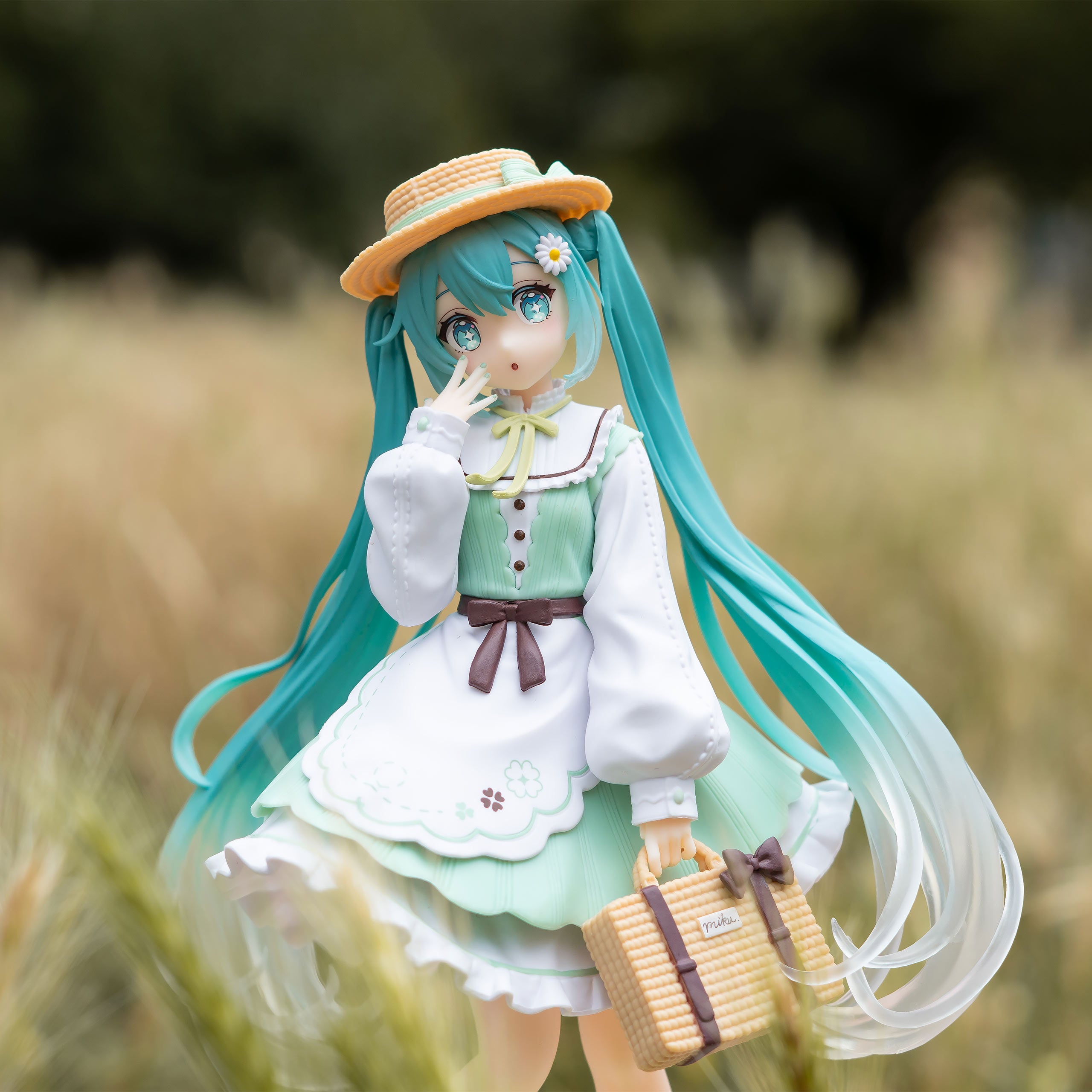 Product image Hatsune Miku - Fashion Country Figure