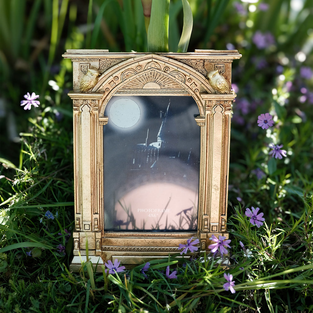 Product image Harry Potter - Hogwarts Mirror Photo Frame