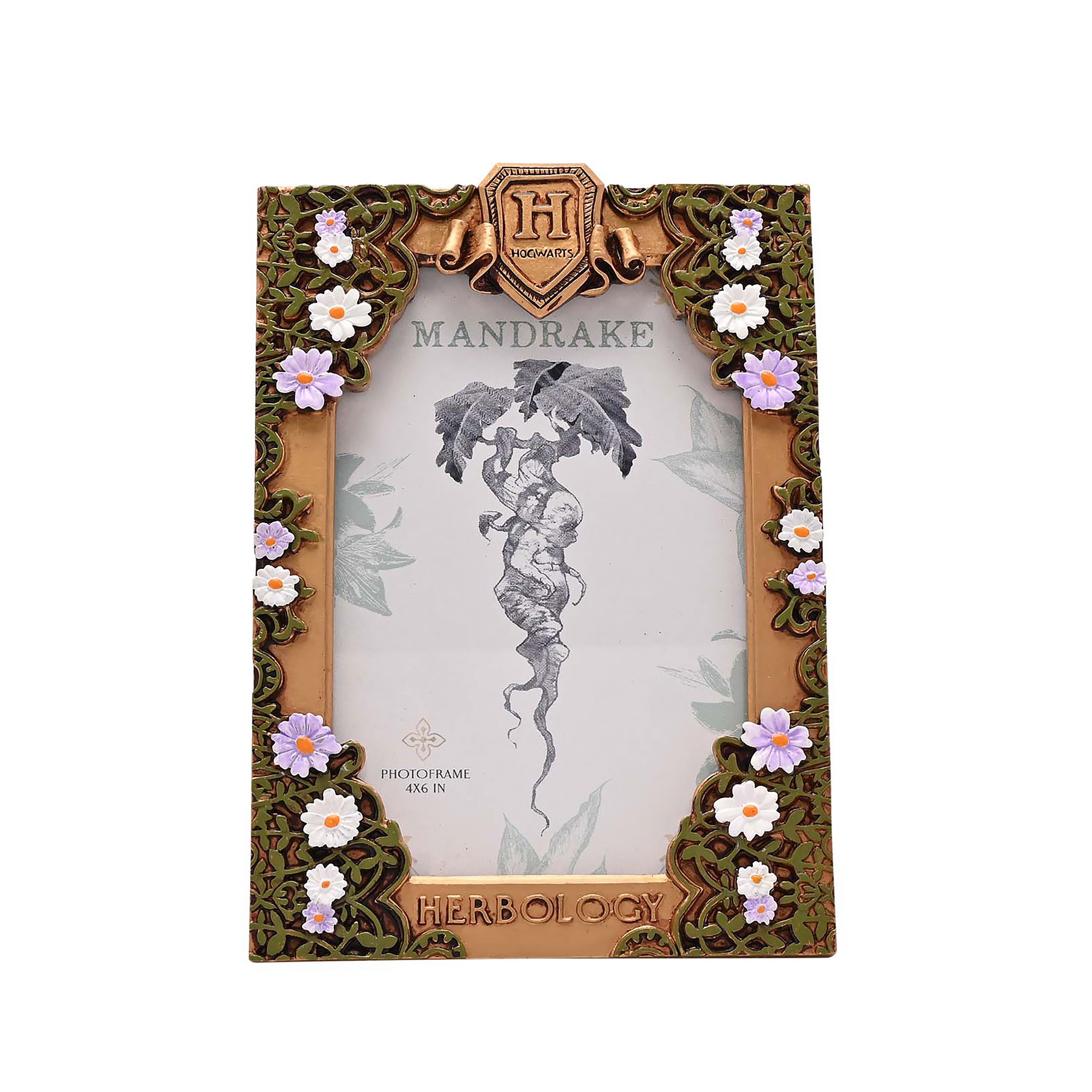 Product image Harry Potter - Herbology Picture Frame