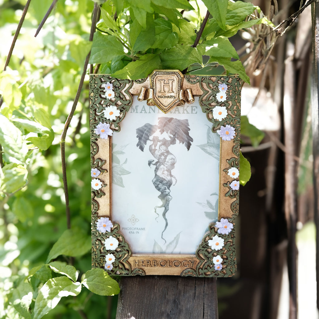 Product image Harry Potter - Herbology Picture Frame