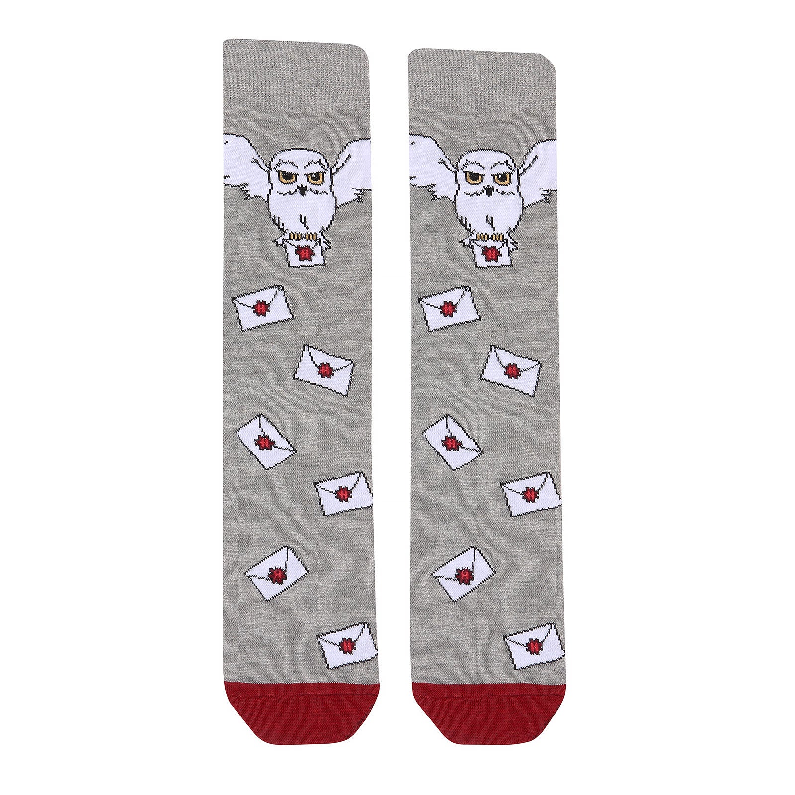 Product image Harry Potter - Hogwarts Letter Socks