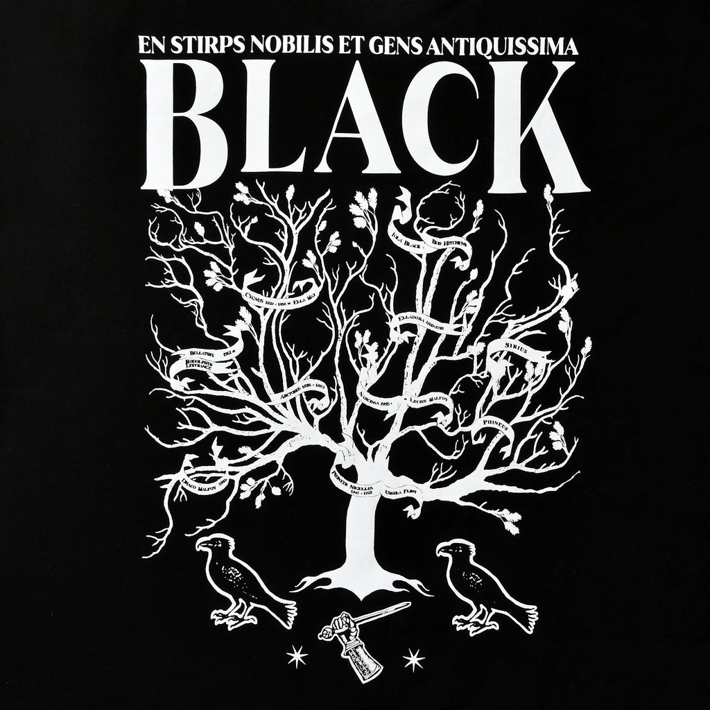 Product image Harry Potter - House of Black T-shirt black