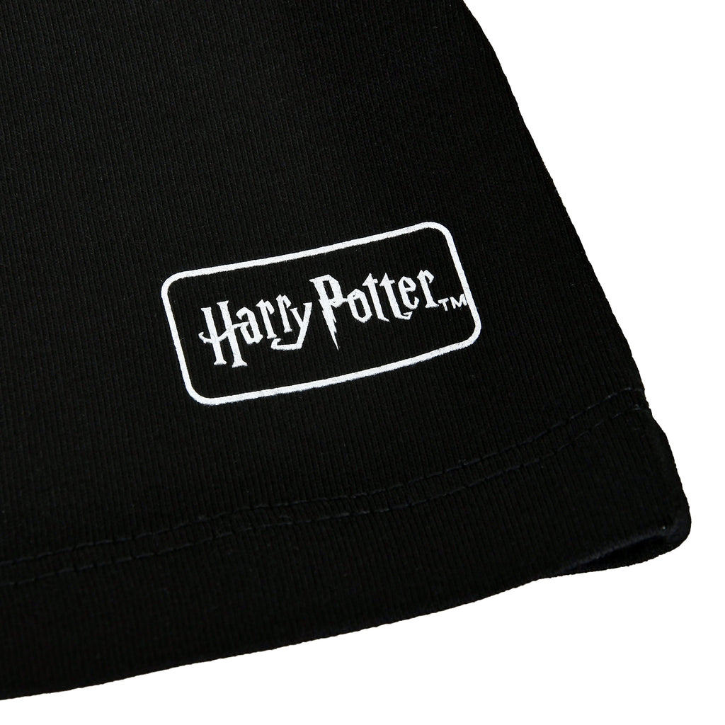 Product image Harry Potter - House of Black T-shirt black