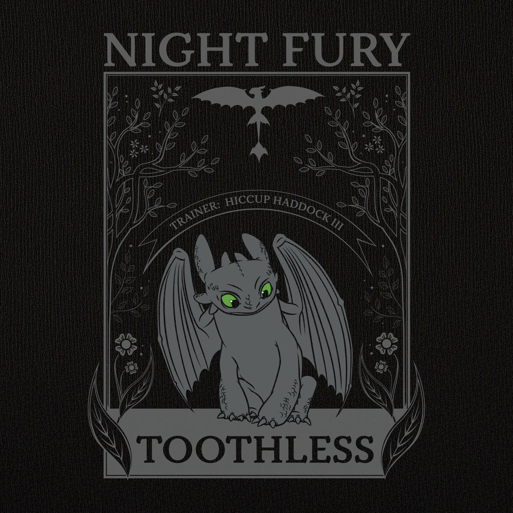 Product image How to Train Your Dragon - Night Fury Women's T-Shirt Black