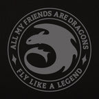 Product image How to Train Your Dragon - Night Fury Legend Hoodie black
