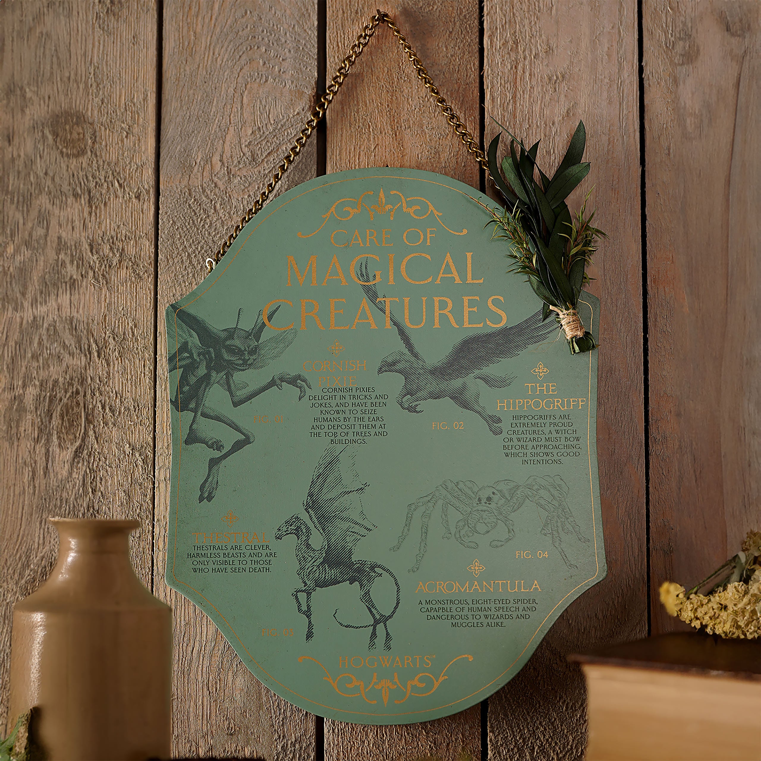 Product image Harry Potter - Care of Magical Creatures Wooden Wall Art