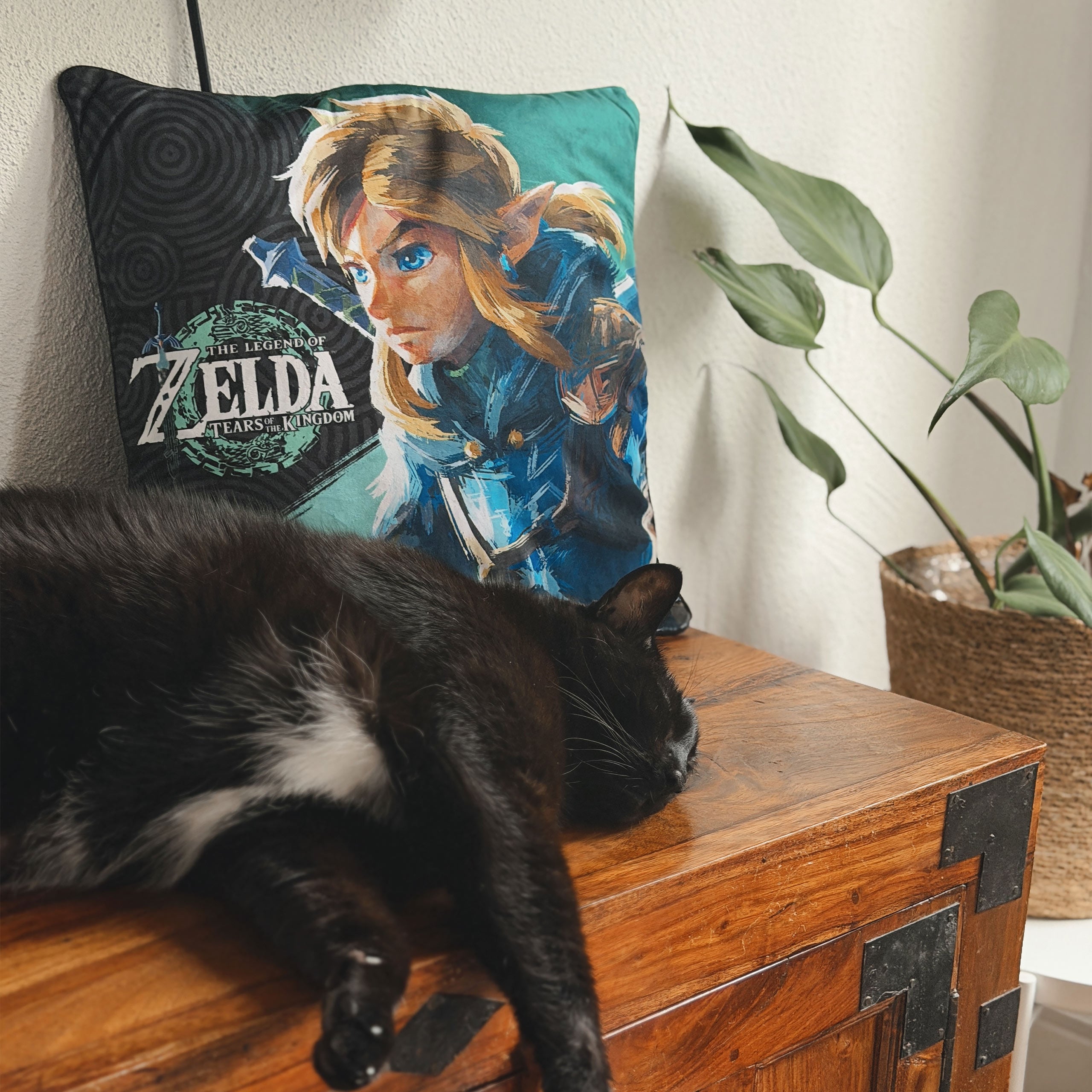Product image Link Cushion - Zelda