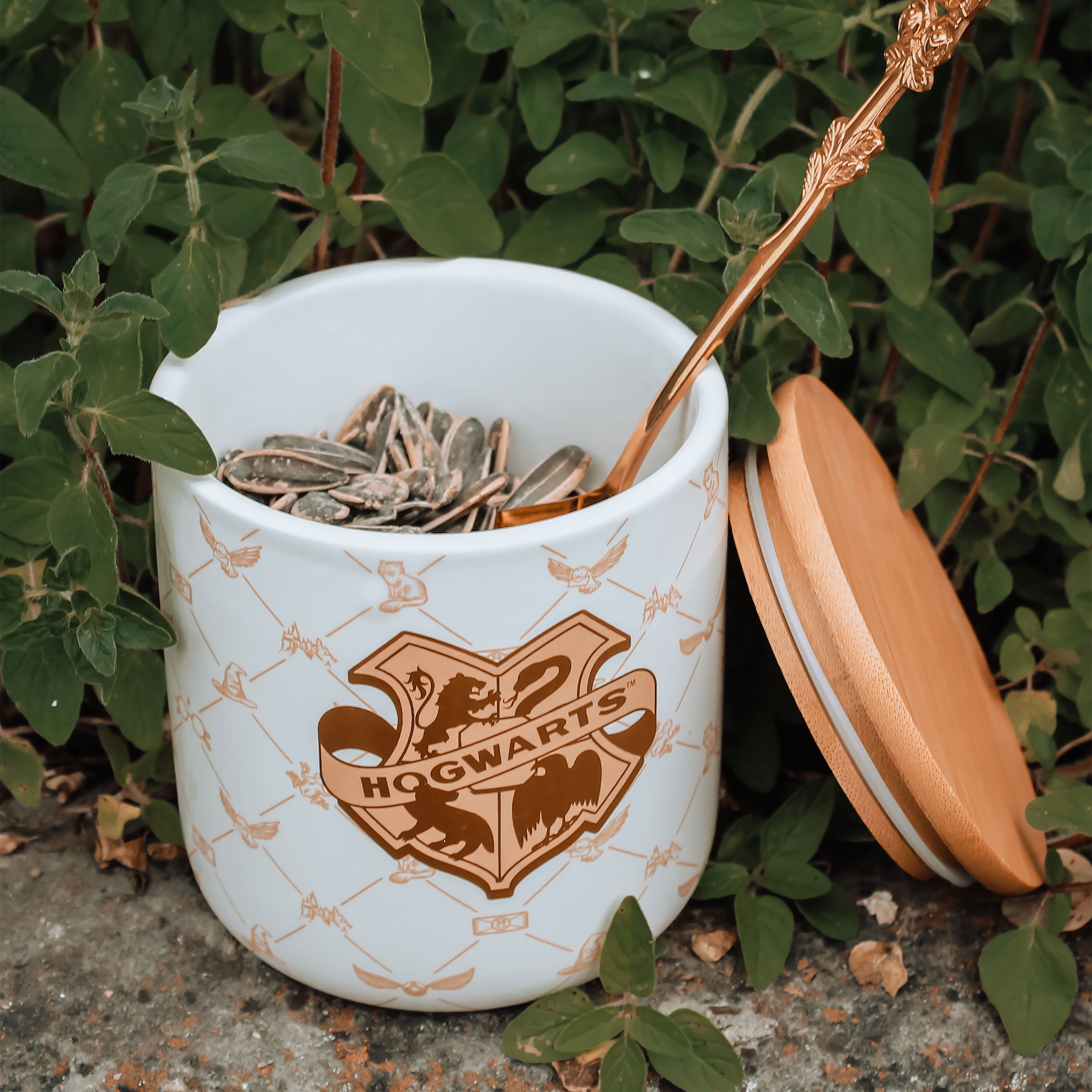 Product image Harry Potter - Hogwarts Jar Serene Collection