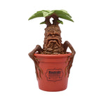 Product image Harry Potter - Mandrake Garden Figure