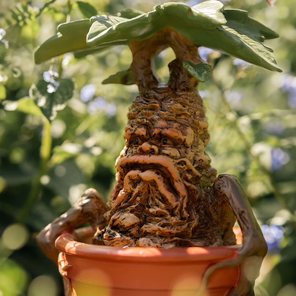 Product image Harry Potter - Mandrake Garden Figure