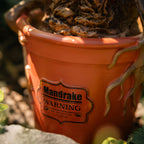 Product image Harry Potter - Mandrake Garden Figure