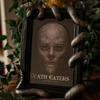 Product image Harry Potter - Nagini Picture Frame