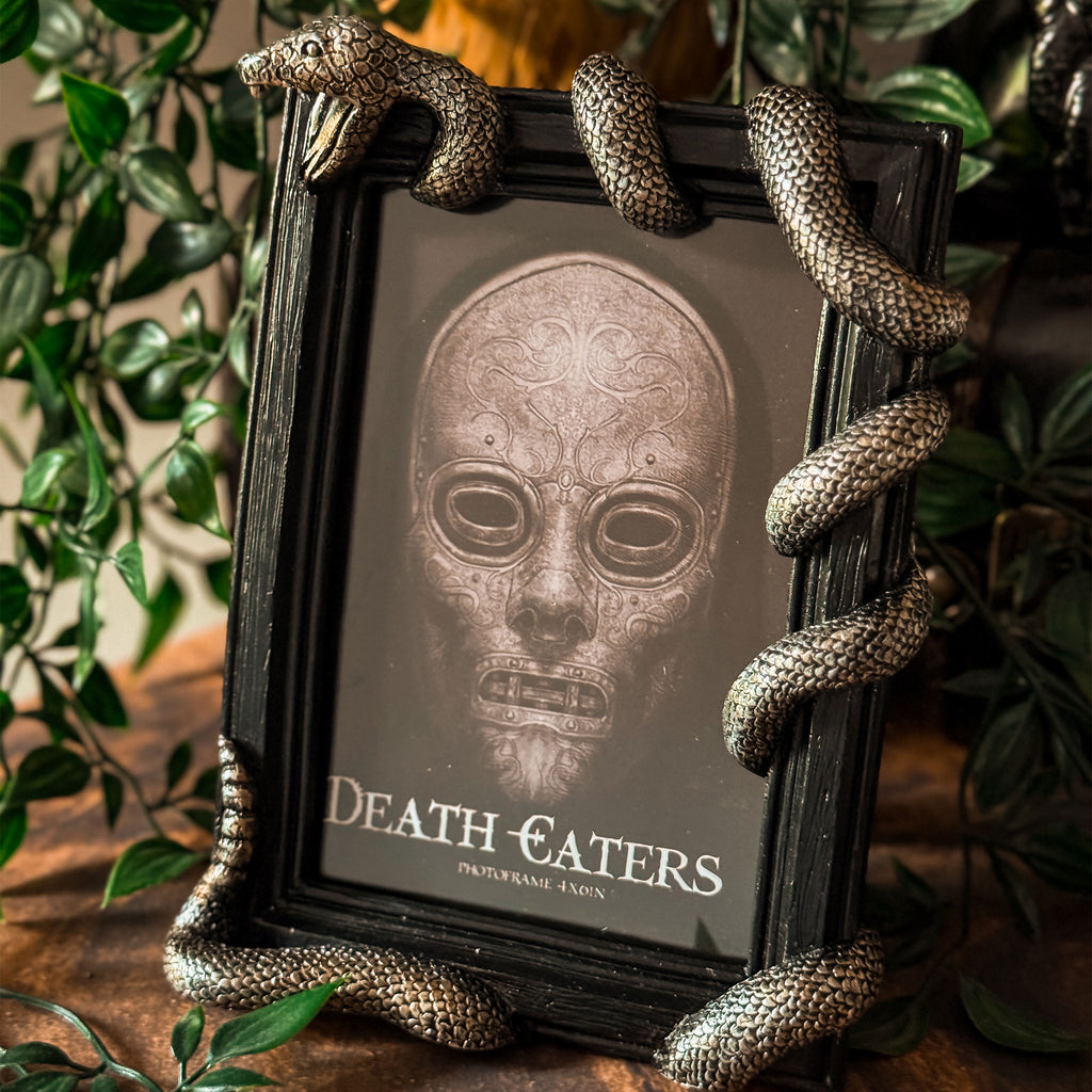 Product image Harry Potter - Nagini Picture Frame